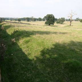 IMG_4276.jpg_ALT
