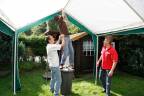 lighties2012-6647.jpg_ALT